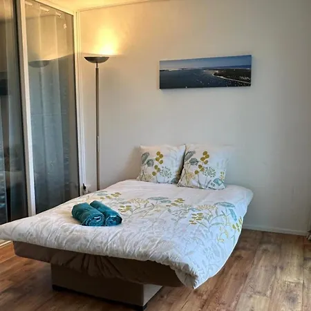 Bright Near And Center Apartment