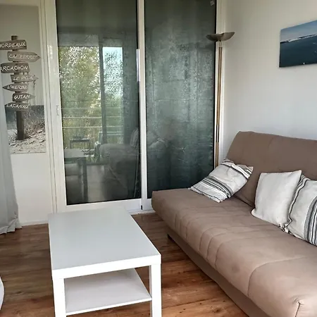 Bright Near And Center Apartment