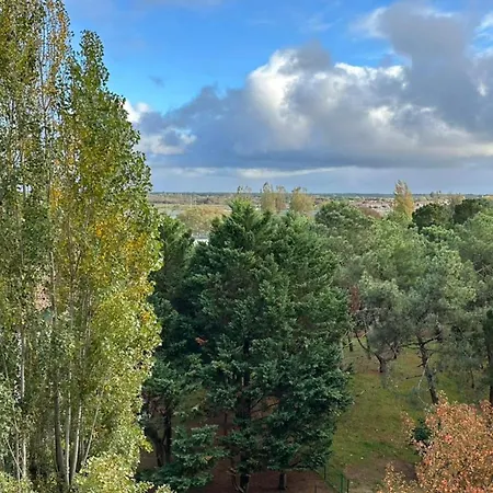 Bright Near And Center 아르카숑