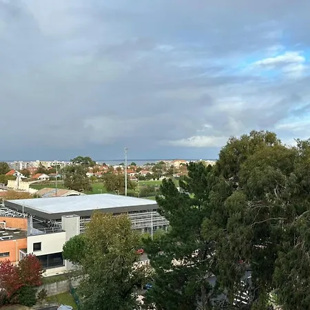 Bright Near And Center Arcachon